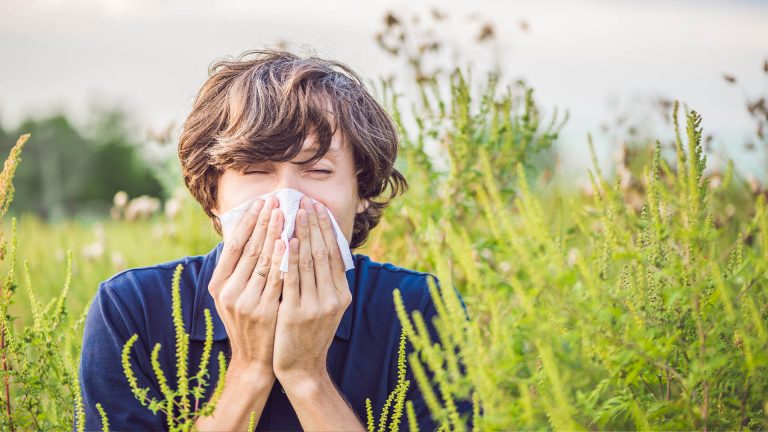 allergie oculari da polline