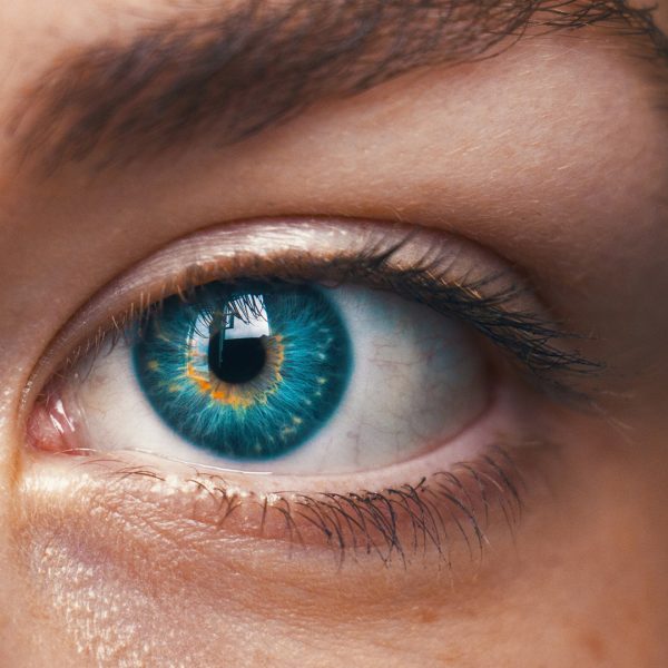 Come è fatto l’occhio e come funziona la nostra visione?